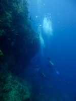 Divers IMG 7768